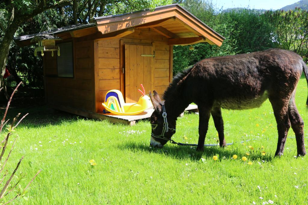 Matzhof Lägenhet Leogang Exteriör bild