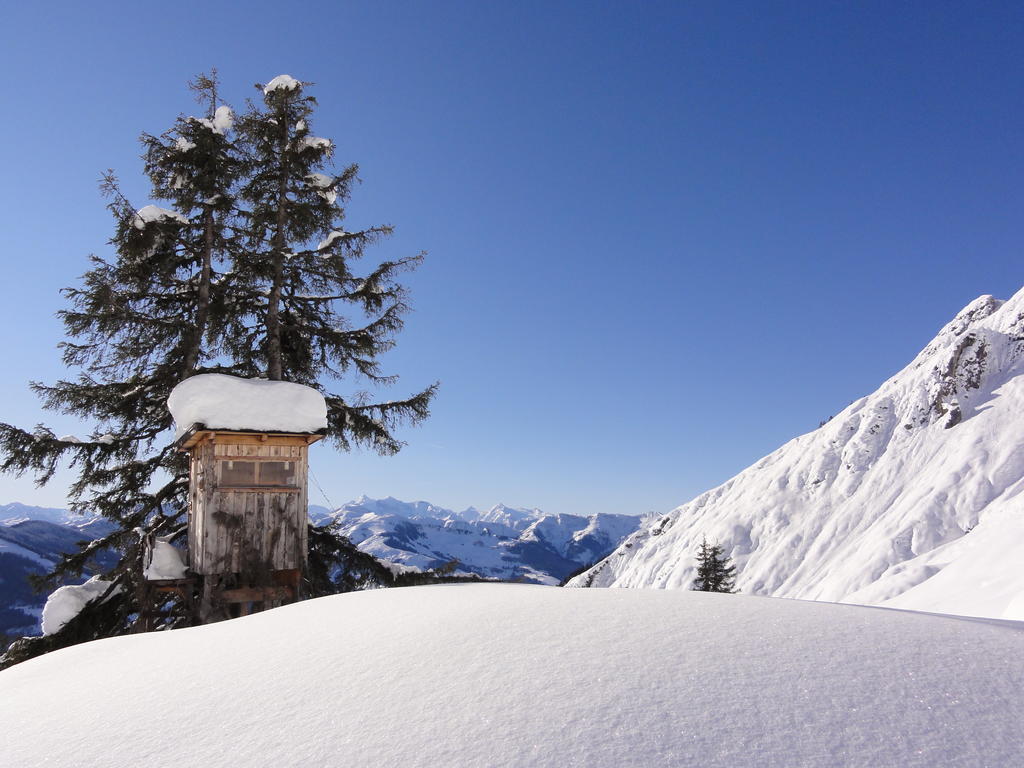 Matzhof Lägenhet Leogang Exteriör bild