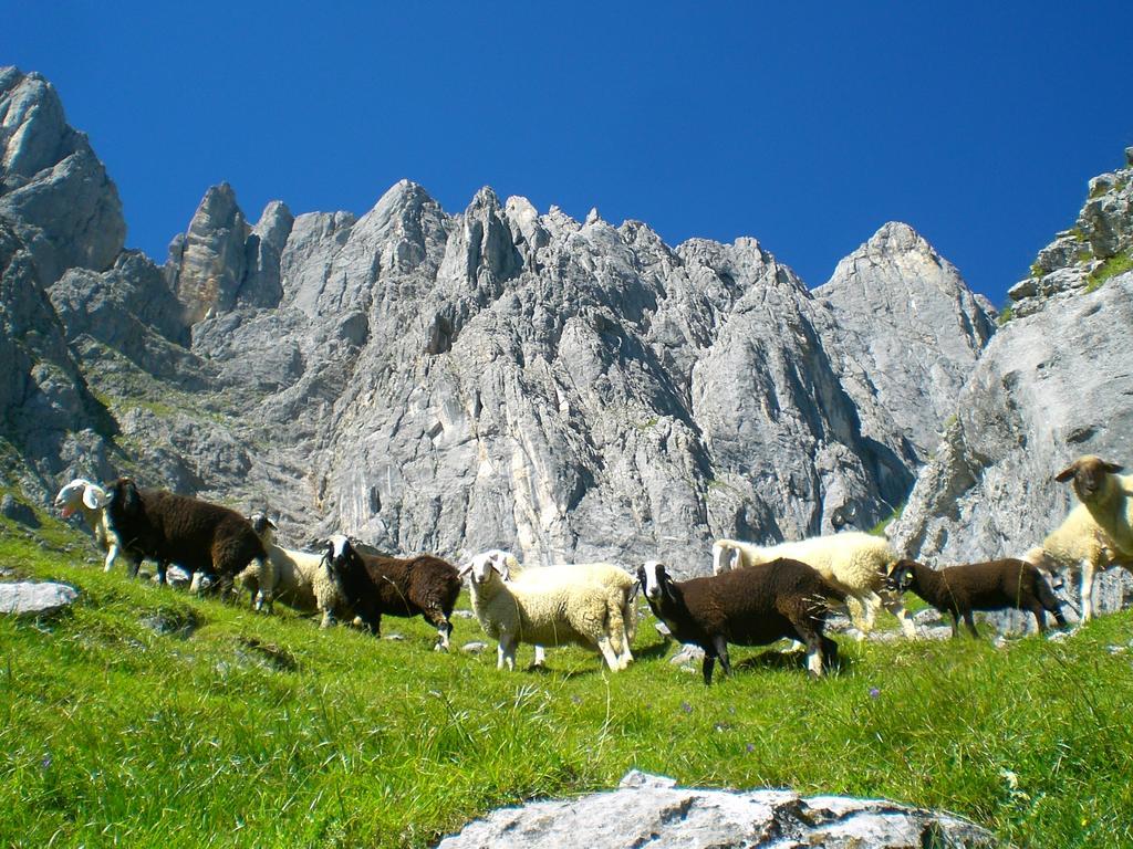 Matzhof Lägenhet Leogang Exteriör bild